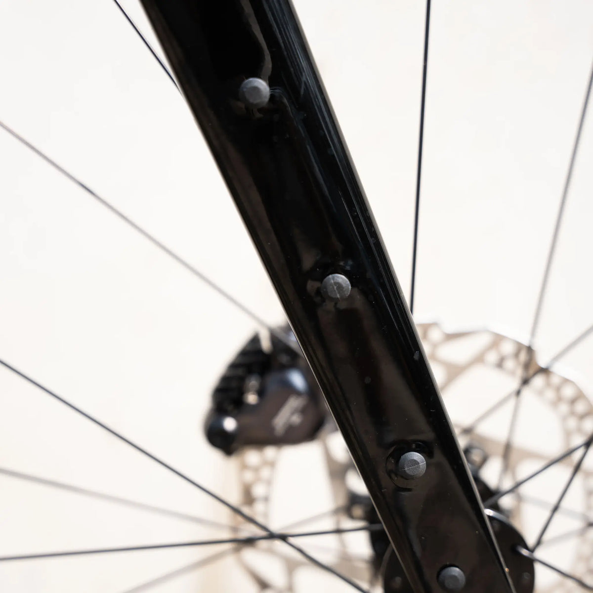 Ridley Kanzo Adventure Alu Gravelbike Green XL