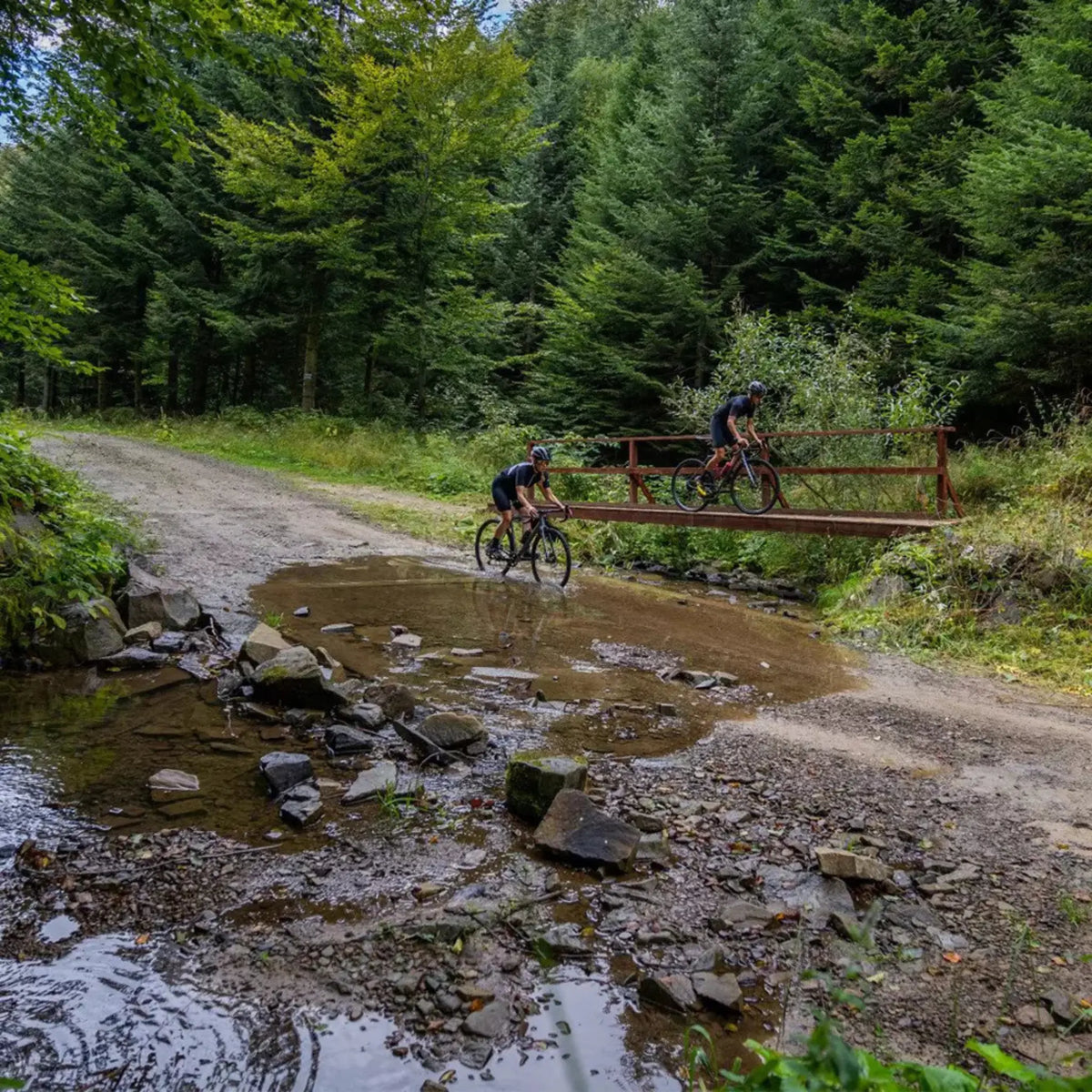 RONDO RUUT AL1 Gravelbike L