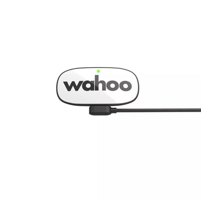 Wahoo TRACKR Brustgurt